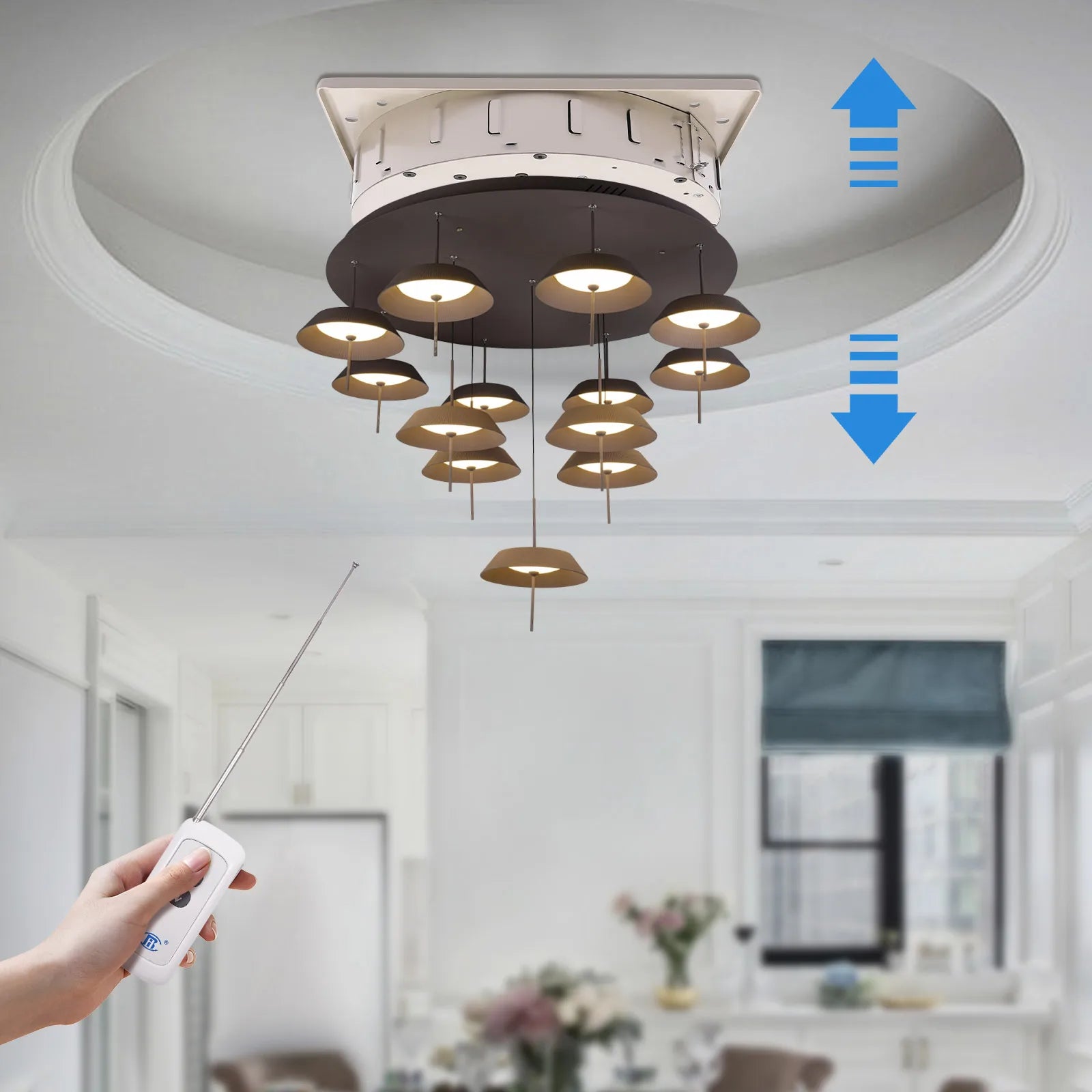 110V 2-in-1 Electric Hoist Ceiling Light Lifting System, 220lbs Capacity, 5M Lift for Villas Home Hotel