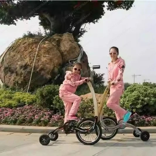 20 Inch Large Wheel Folding Fitness Standing Bike, Full Body Exercise, Half Bike Exercise, Balance Training